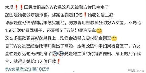 爆料王丽坤老公信息最新,神秘富豪背景引热议
